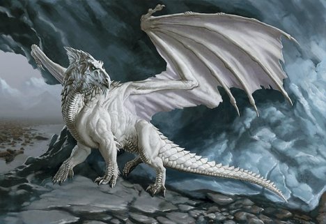 dragão branco